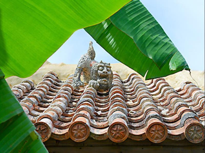 Nakijin No Yado Hibiscus Hotell Exteriör bild